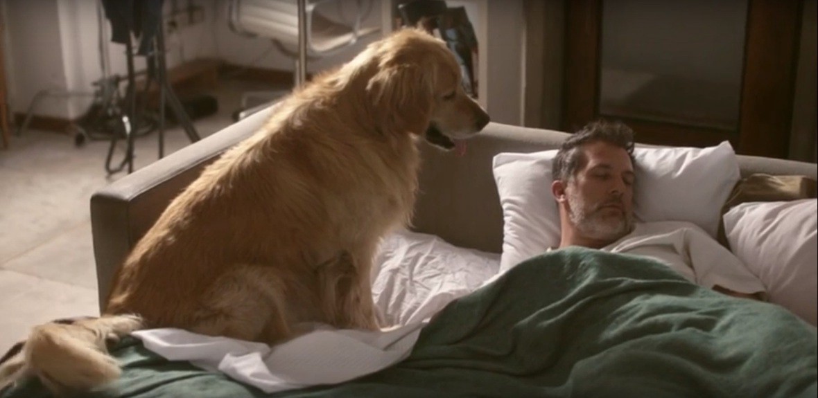 "Seamos inclusivos, seamos más perros": Una campaña que busca la inclusión de las personas con padecimientos mentales | Actualidad