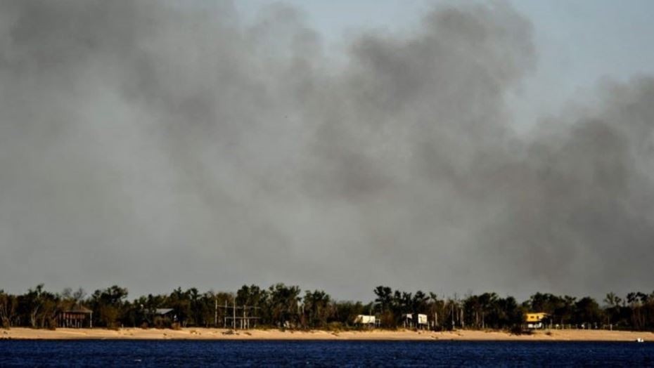 Quema de pastizales en el Delta del Paraná: Nación declaró la emergencia ambiental y exige datos a Entre Ríos | Actualidad