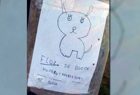 Dos nenes buscan a su perra con un "retrato" porque no tienen una foto | Actualidad