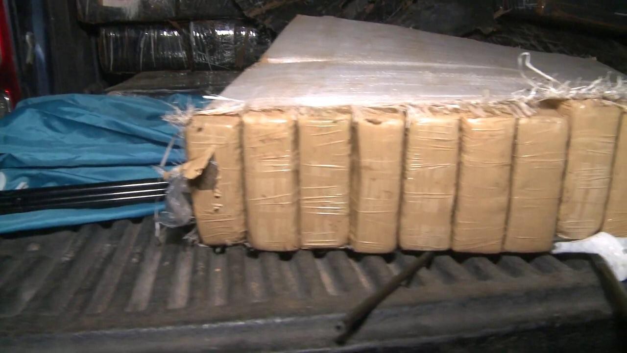 Operativo "aserradero verde": secuestran casi 2 toneladas de marihuana | Actualidad