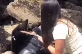 Paseaban por la playa, hallaron una valija con un cuerpo adentro y publicaron el video en TikTok | Curiosidades