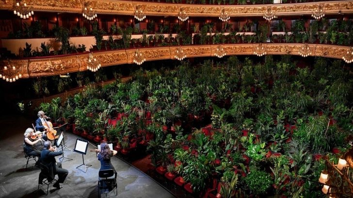 La ópera de Barcelona reabrió con un concierto para 2.300 plantas | Curiosidades
