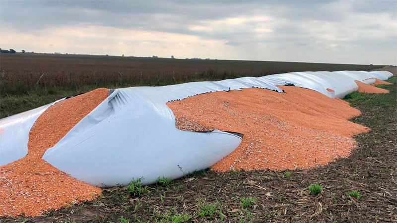 Delitos en el campo: "En tres meses tuvimos 38", denunció la CRA | Actualidad