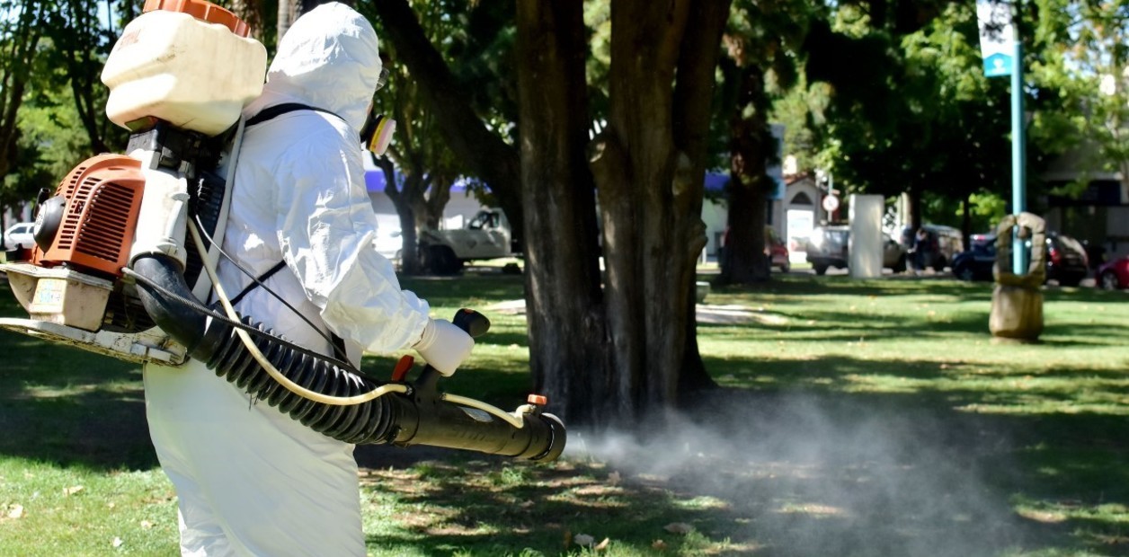 Dengue: 4500 casos en territorio bonaerense | Actualidad