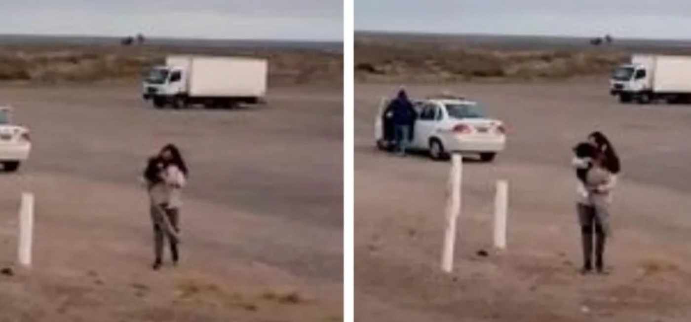 Un perro viajó 450 kilómetros en taxi para encontrarse con sus dueños | Curiosidades