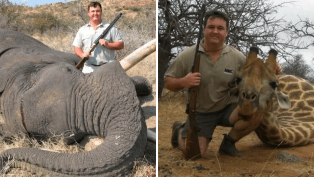 Nombraron en el área de Conservación a un cazador de grandes animales salvajes | Internacionales