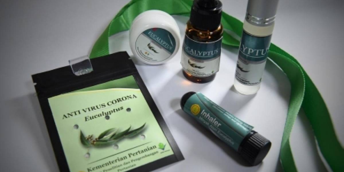 El Gobierno de Indonesia promociona un collar de eucaliptus como remedio contra el coronavirus | Curiosidades