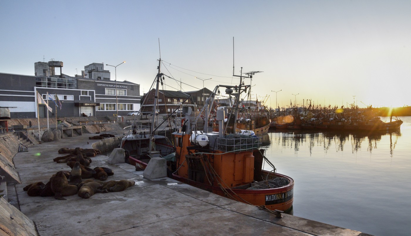 Hallaron muerto a un marinero en el puerto de Mar del Plata | Actualidad