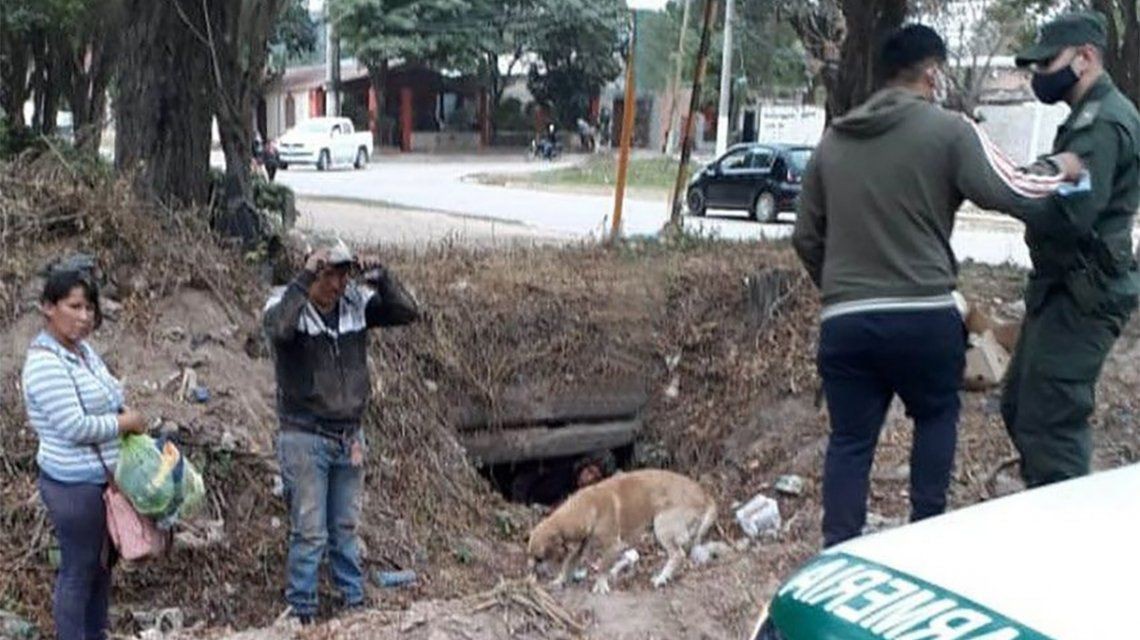 Salta: ciudadanos bolivianos intentaron ingresar al país por una alcantarilla | Actualidad