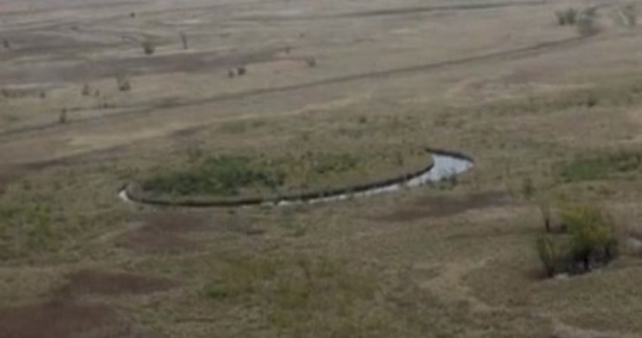 La extraña isla del Delta que genera desconcierto entre especialistas | Actualidad