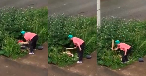 Video: una mujer golpeó a una pareja que estaba teniendo sexo en plena calle | Curiosidades