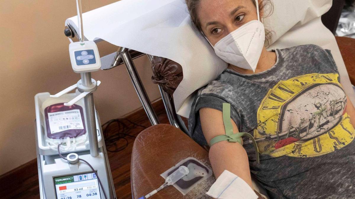 Denuncia de la CHA: "No quieren la sangre ni el plasma de los homosexuales" | Actualidad