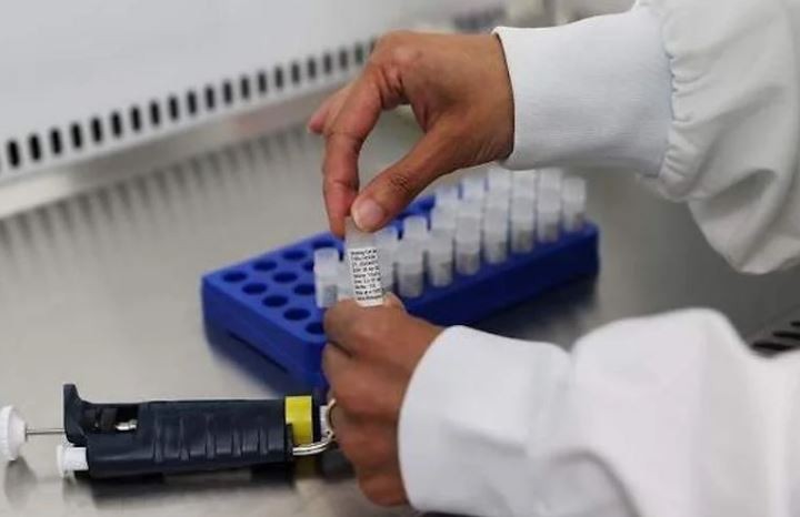 Un estudio indica que el Covid-19 muta para que las células no lo reconozcan | Internacionales