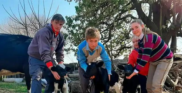 Nacieron terneros trillizos en un campo de Tezanos Pinto | Curiosidades