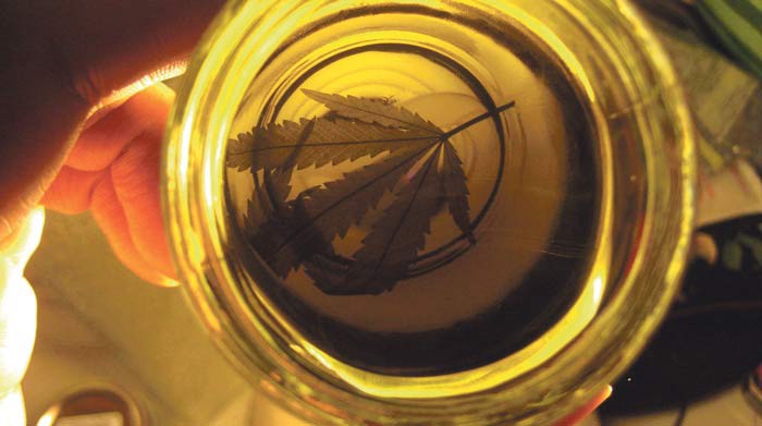 Chubut es la primera provincia en incluir el aceite de cannabis en el sistema de salud | Actualidad