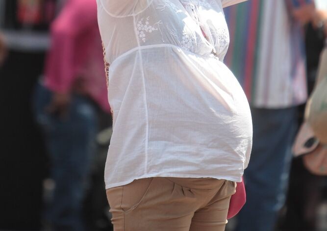 Así es el calendario de cobro de las Asignaciones por hijo y por embarazo de agosto | Economía