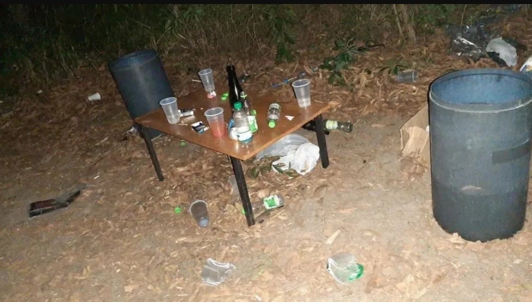 Imputaron a 303 personas por una fiesta electrónica clandestina: "Deben responder ante la ley" | Actualidad