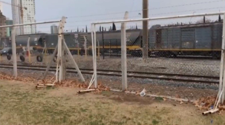 Rosario: retiran arcos de las canchitas para evitar partidos y los vecinos se resisten | Actualidad