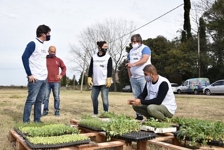 Instalan 60 huertas comunitarias en comedores sociales y barrios platenses | Actualidad