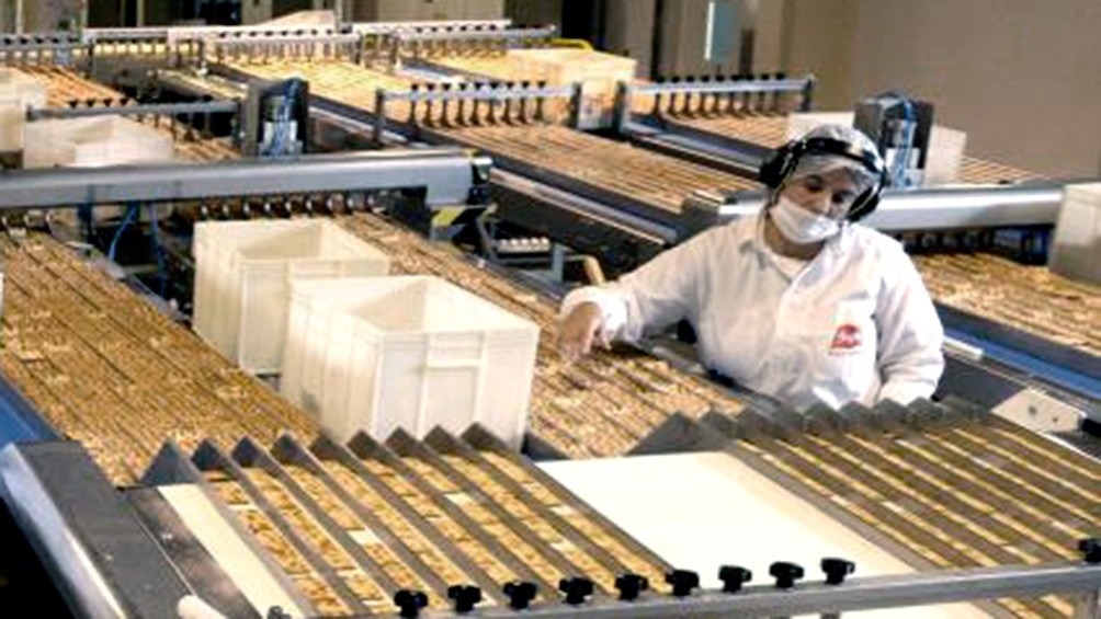 El Gobierno aprobó la "Guía Responsable para la reincorporación gradual al trabajo" | Actualidad