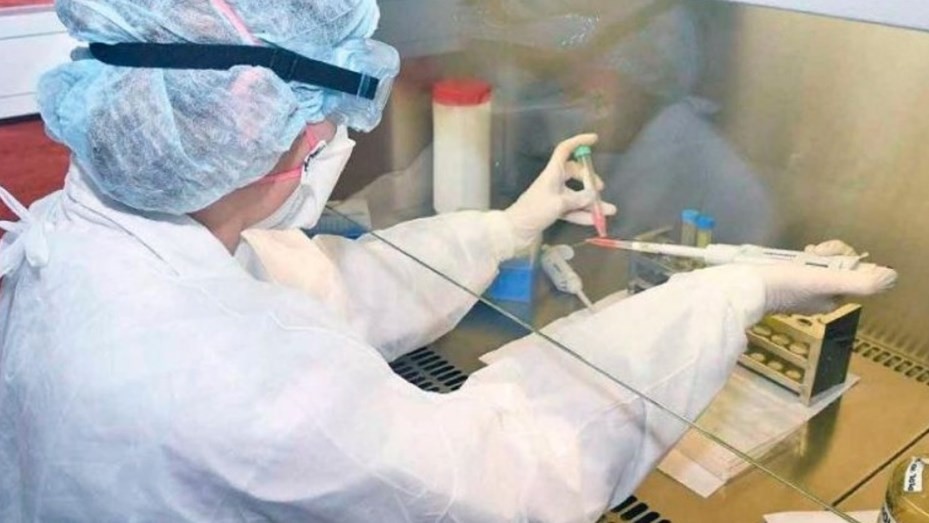 Nuevas esperanzas: científicos encontraron un punto débil del coronavirus | Actualidad