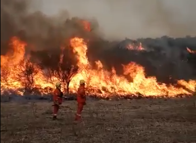 Así es la lucha contra el fuego en las Sierras de Córdoba | Clima, naturaleza y medio ambiente