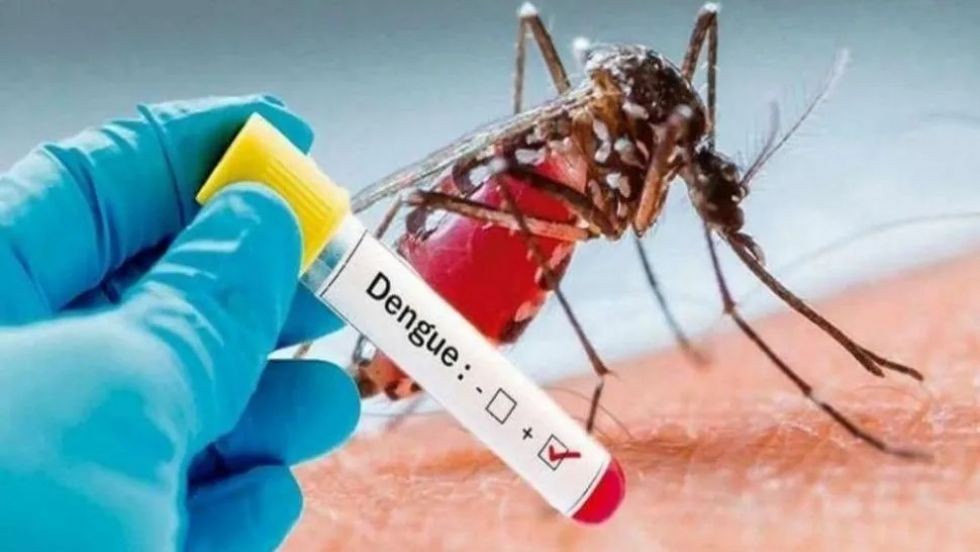 Dengue: Argentina registra niveles históricos de infectados | Actualidad