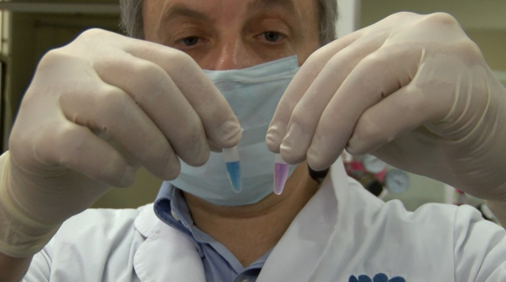 Producirán un millón de test rápidos argentinos para detección de coronavirus por mes | Actualidad