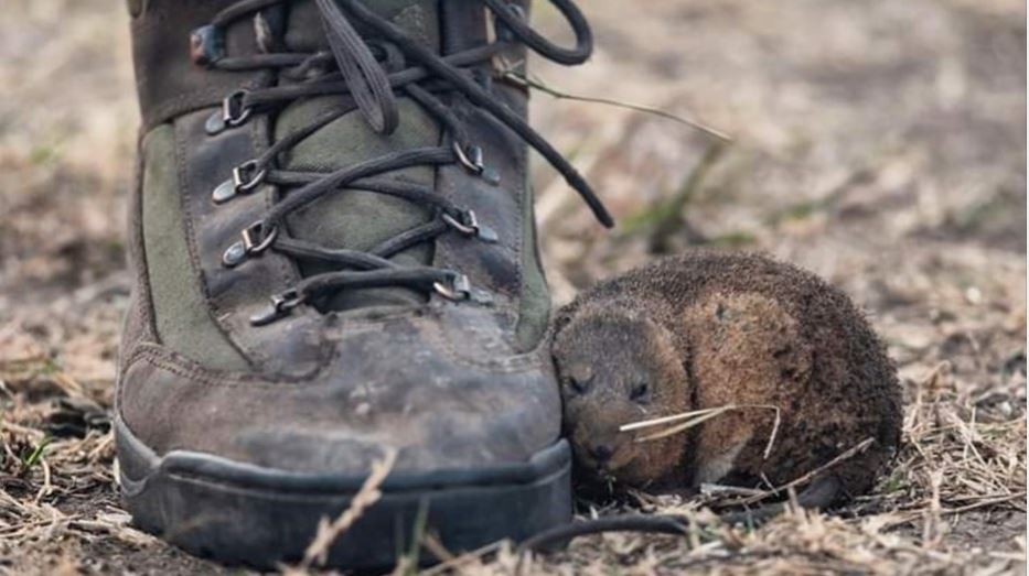 El reportero gráfico que conmovió al país con una foto del fuego en las islas del Delta del Paraná | Redes