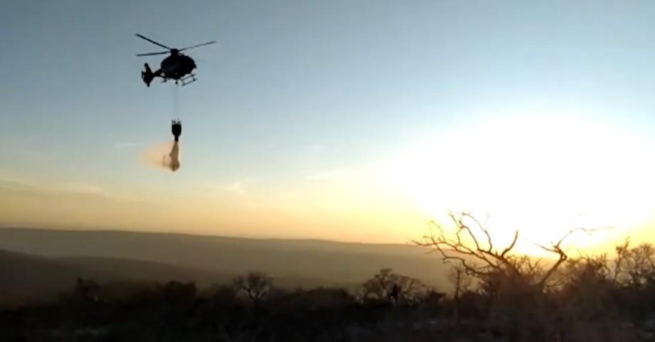 Todos los incendios fueron extinguidos o están bajo "guardia de cenizas" | Actualidad