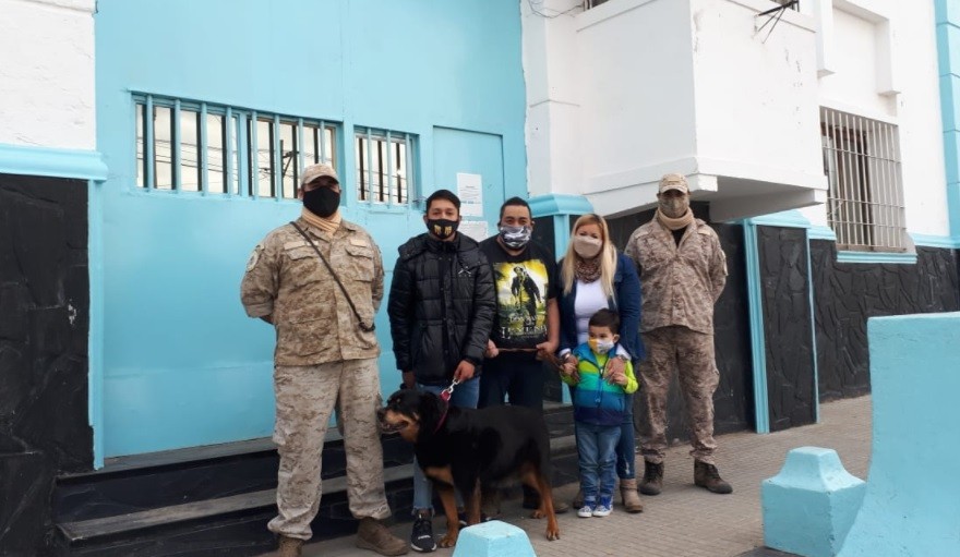 Jubilan a Antonella, una perra rottweiler penitenciaria y la dan en adopción | Actualidad