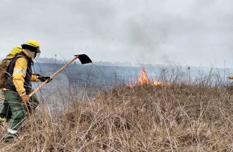 La lluvia apagó incendios en las islas, aunque buscarán el "fuego subterráneo" | Actualidad