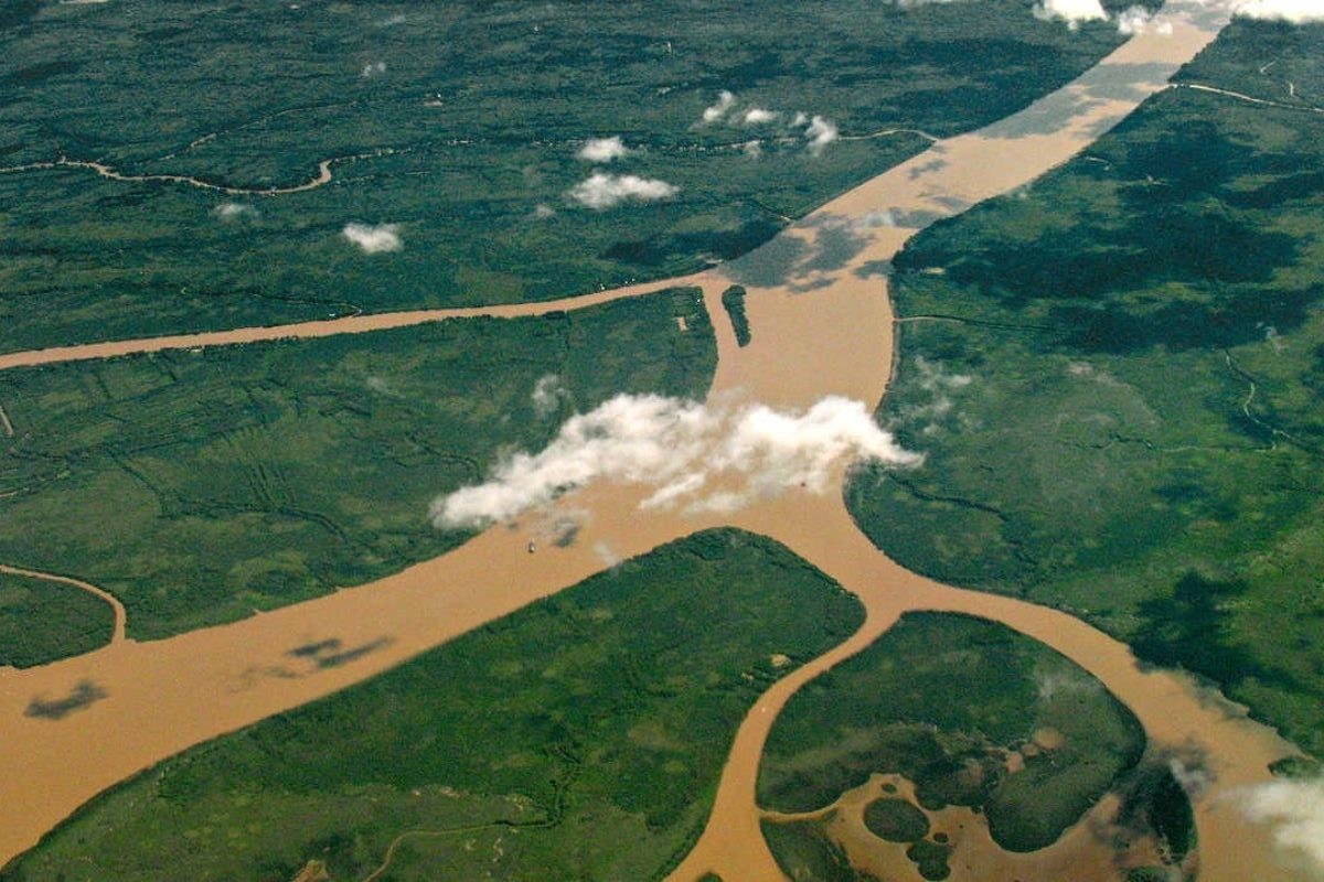 Cinco universidades darán base científica al plan para la conservación del Delta del Paraná | Clima, naturaleza y medio ambiente