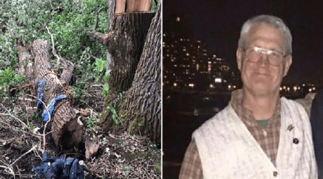 Quedó atrapado bajo un árbol cuatro días: se alimentó de insectos y tomó su sudor | Curiosidades