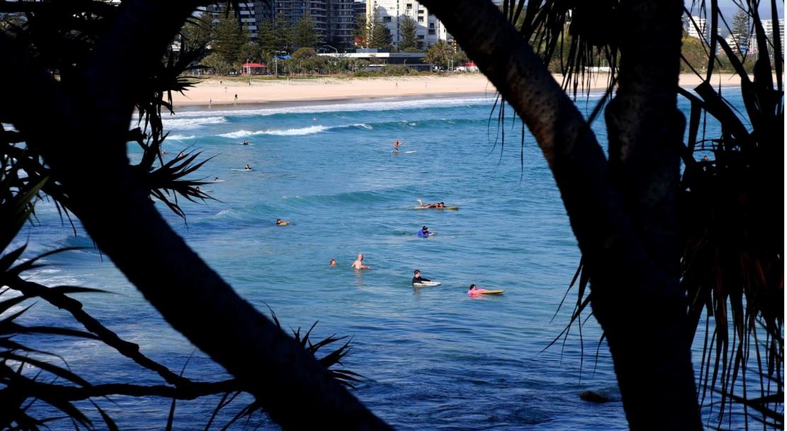 Australia: un tiburón mató a un surfista en una playa protegida con redes | Internacionales