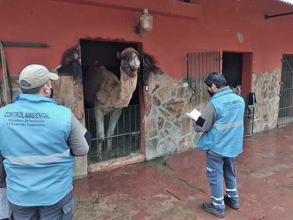 Ratifican el cierre del zoológico de Luján: el Gobierno avanza en su clausura | Actualidad