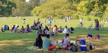 Primavera en casa: Córdoba propone un espectáculo virtual para festejar el Día del Estudiante | Actualidad