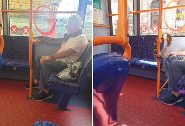 Salió con una serpiente a modo de tapaboca | Internacionales