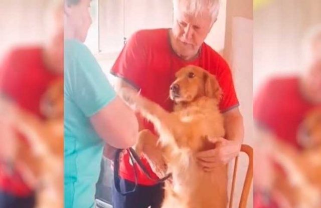 Video: perra empachada agradece que la hayan curado | Redes