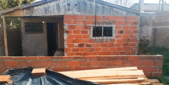 Hallaron muerta a una anciana en su casa: sus gatos se habían comido parte del cuerpo | Actualidad