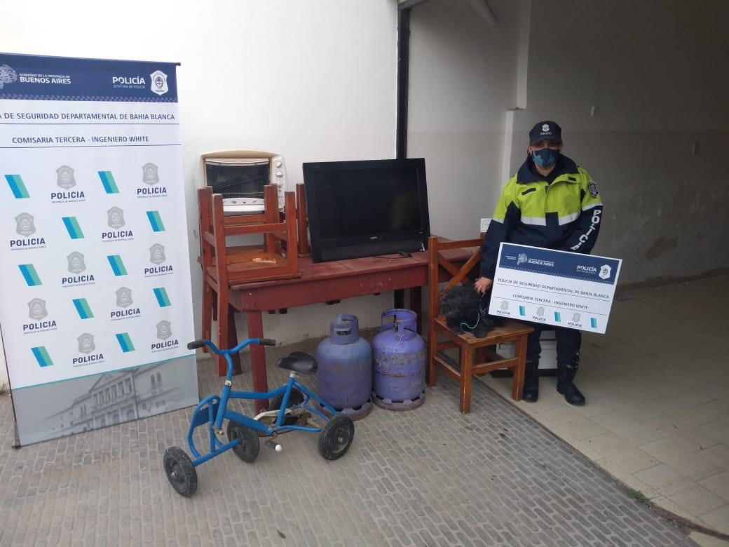 Lo dejó al cuidado de su casa y le robó hasta el perro | Actualidad