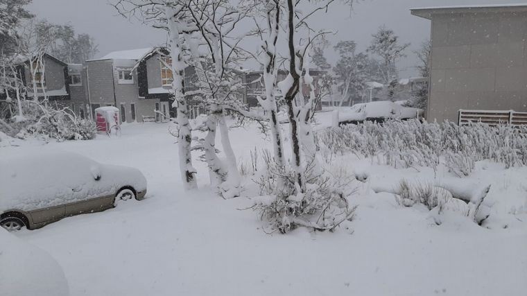 Nieva en Ushuaia a tres días del inicio de la primavera | Clima, naturaleza y medio ambiente