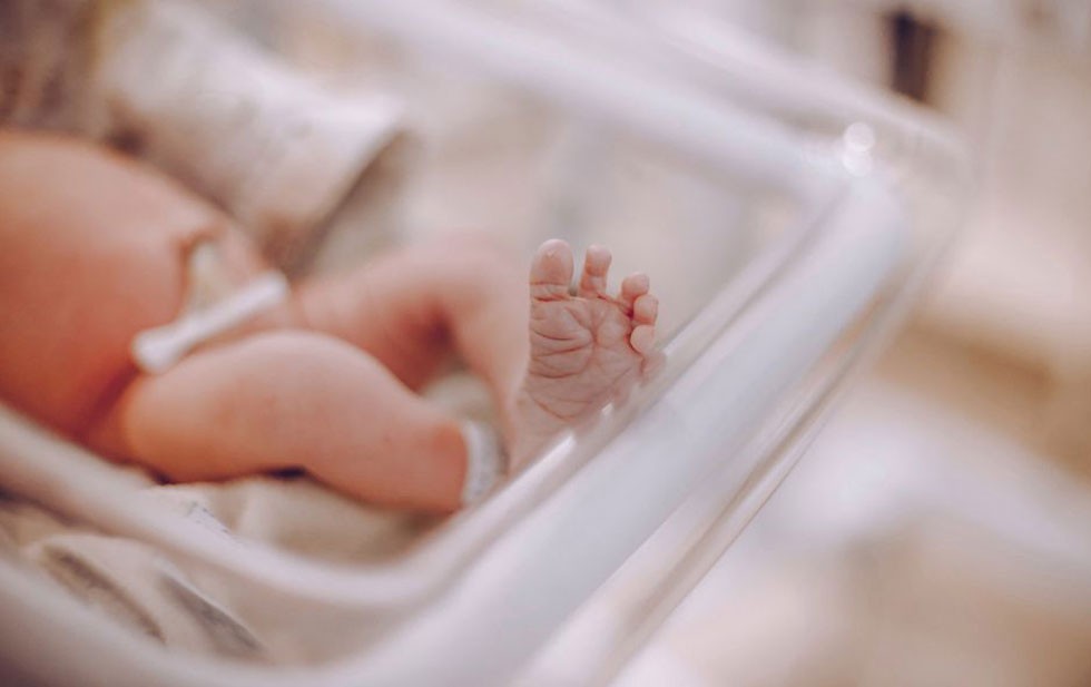 Video conmovedor: un bebé prematuro fue dado por muerte y "resucitó" en el pecho de su madre | Internacionales