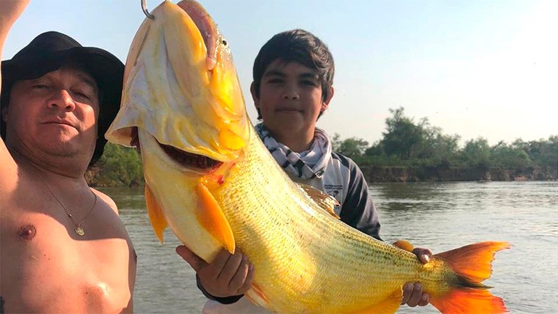 Video: Un nene de 12 años pescó un dorado gigante y lo devolvió al Paraná | Actualidad