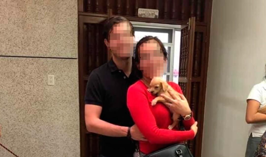 Denunciaron a una pareja por adoptar perritos abandonados para alimentar a sus serpientes | Internacionales