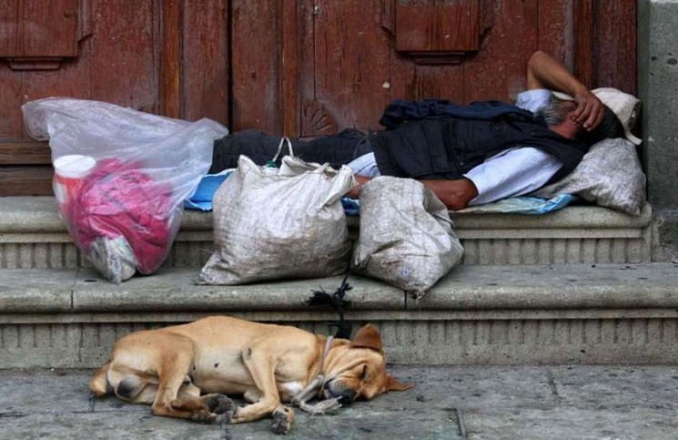 “Una persona recibió una bandeja y la compartió con el animal que tenía” | Actualidad