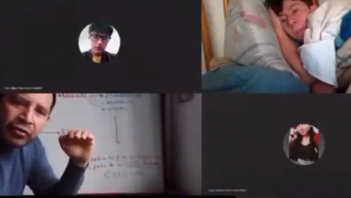 Video: Profesor se tienta cuando descubre que su alumno toma la clase virtual desde la cama | Redes