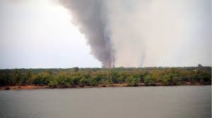 Advierten que "no hay recursos que alcancen" si no se identifican a autores de quemas en humedales | Clima, naturaleza y medio ambiente