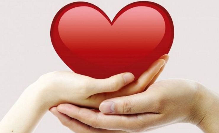 Día Mundial del Corazón: lanzan una campaña que promueve la salud cardiovascular | Actualidad