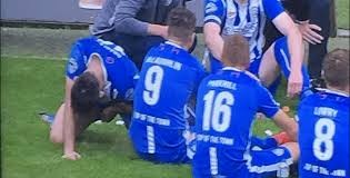 Suspendieron por seis fechas a un jugador irlandés por orinar en el campo de juego | Deportes